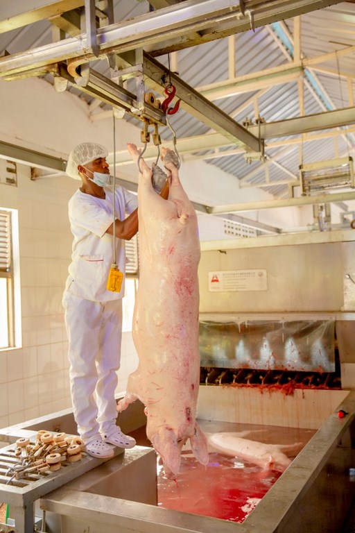 Rugali Meat Processing industries