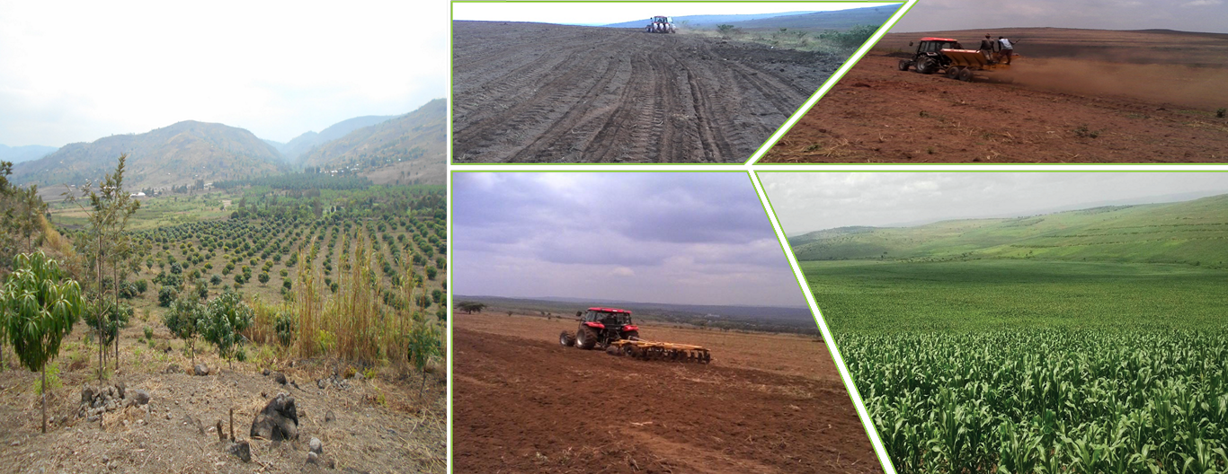 API Agriculture Mechanization 