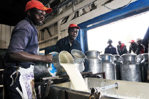 Nyanza milk plant to get face-lift