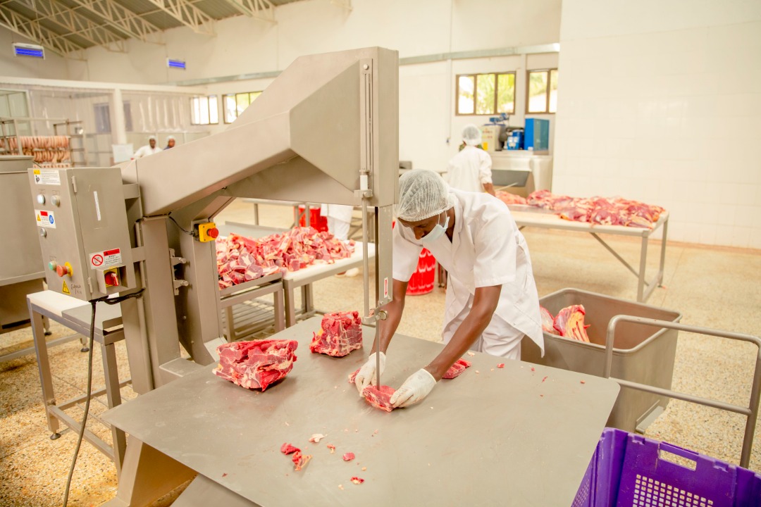 Food processing line with packaged goods