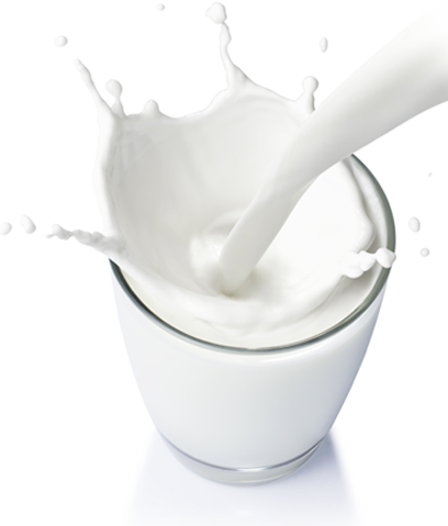 Fresh pasteurized milk (Inshyushyu)